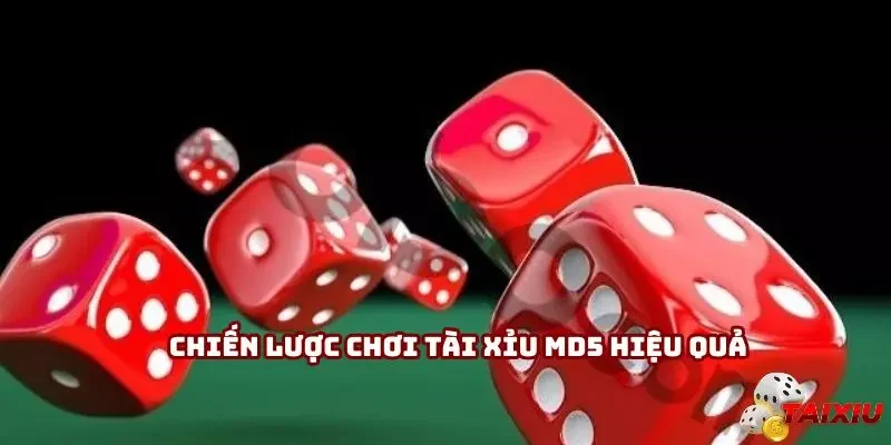 Giữ vốn để chơi tài xỉu MD5 hiệu quả hơn bao giờ hết