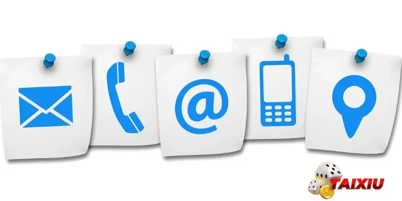 Các phương thức liên hệ cực nhanh với nền tảng