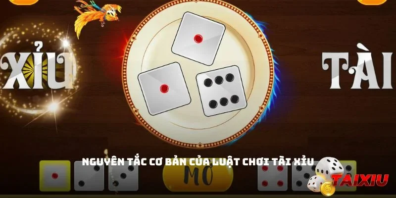 Nguyên tắc cơ bản cần ghi nhớ khi tham gia