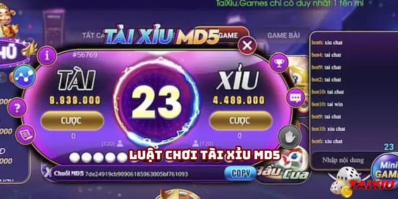 Nắm vững luật giải trí tài xỉu MD5 để chơi chuyên nghiệp