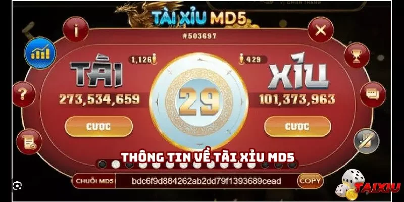 Thông tin chuẩn xác và chi tiết về tài xỉu MD5